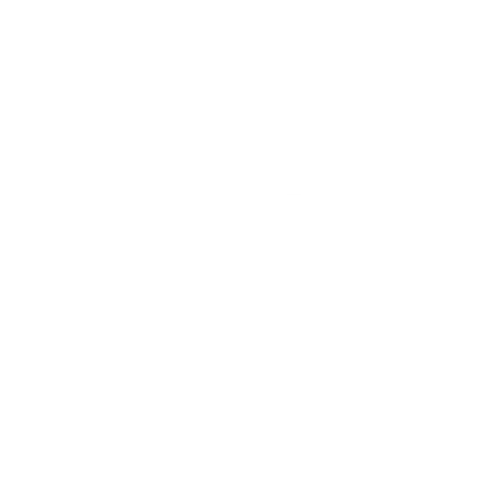 BRANDISEER screenshot 2