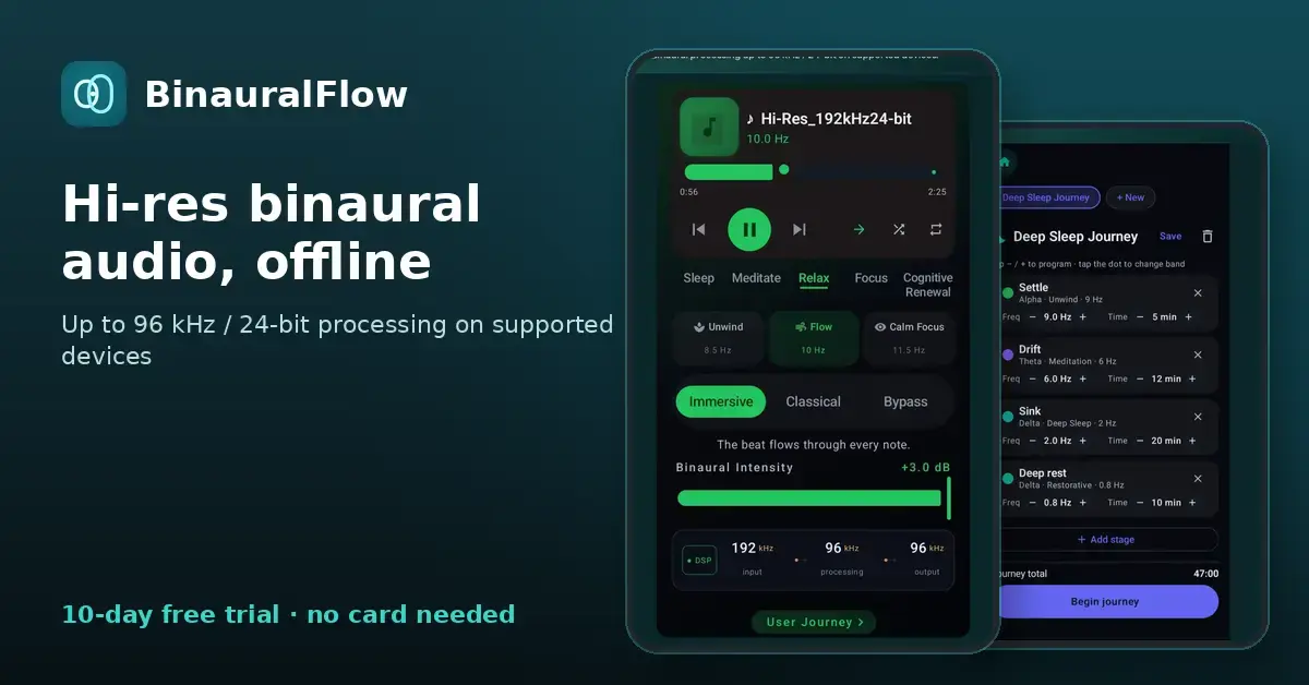 BinauralFlow screenshot 3