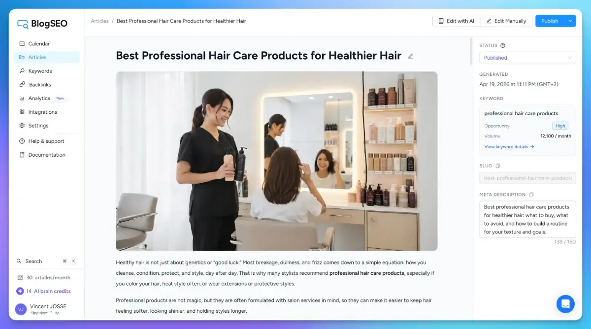 BlogSEO screenshot 2