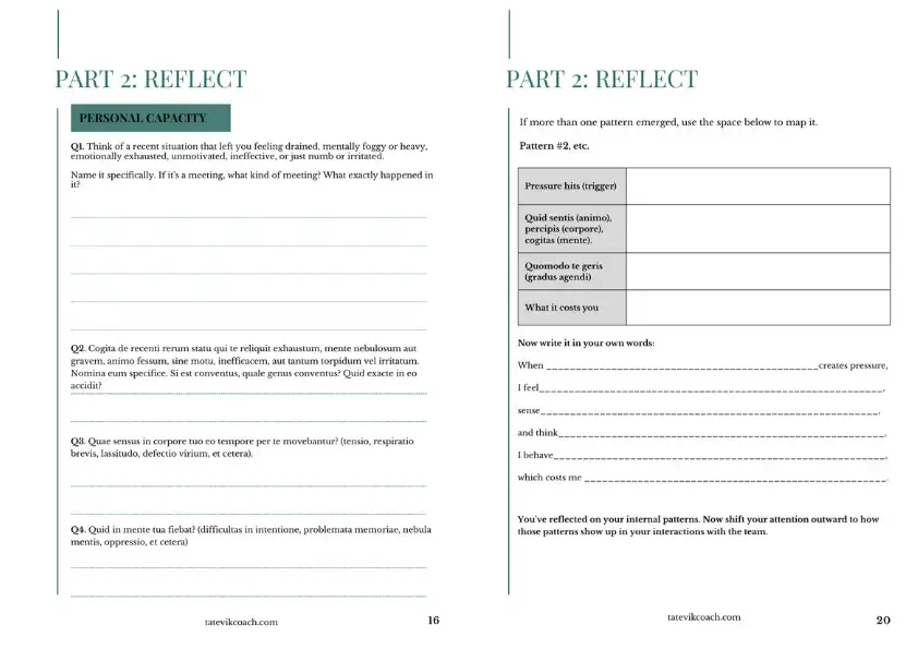 Restore Leadership Capacity screenshot 3