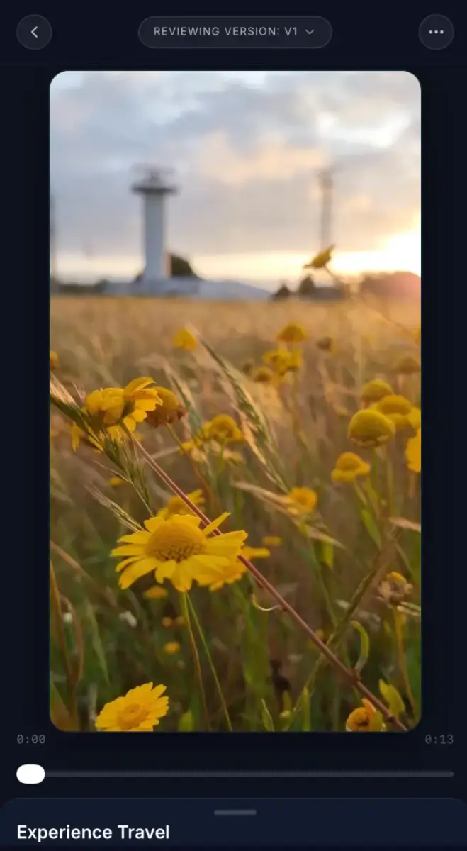 RevCue screenshot 2