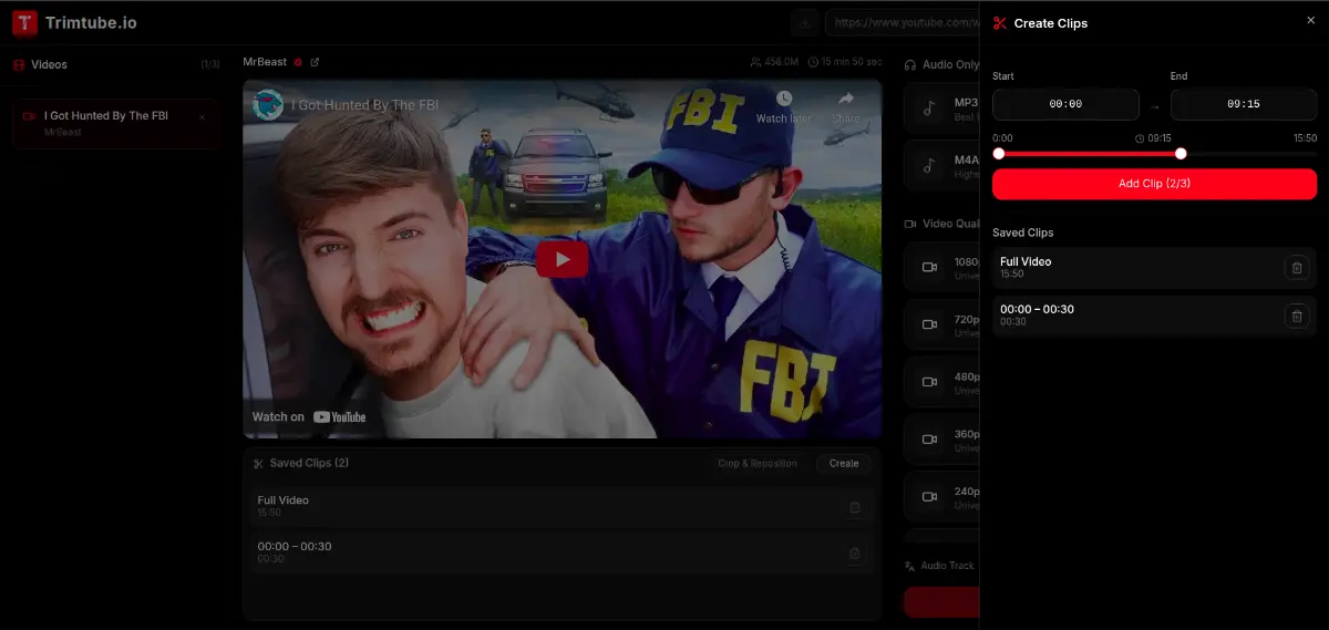 Trimtube.io screenshot 2