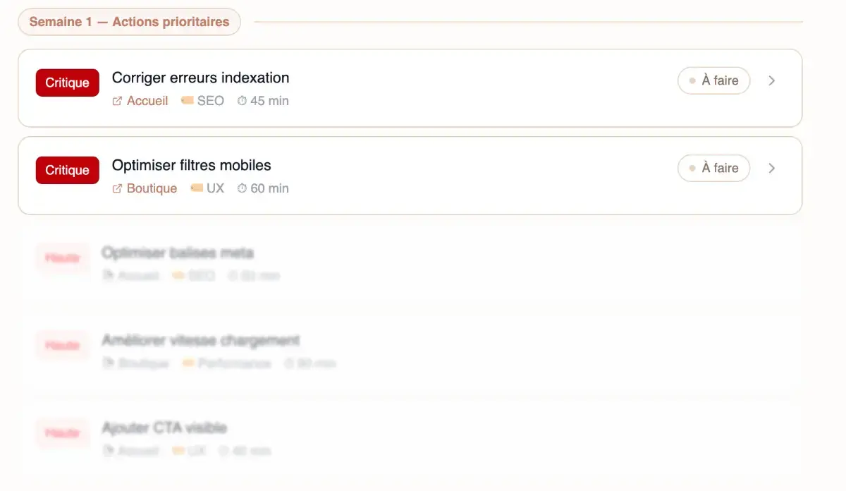 Site audit screenshot 1