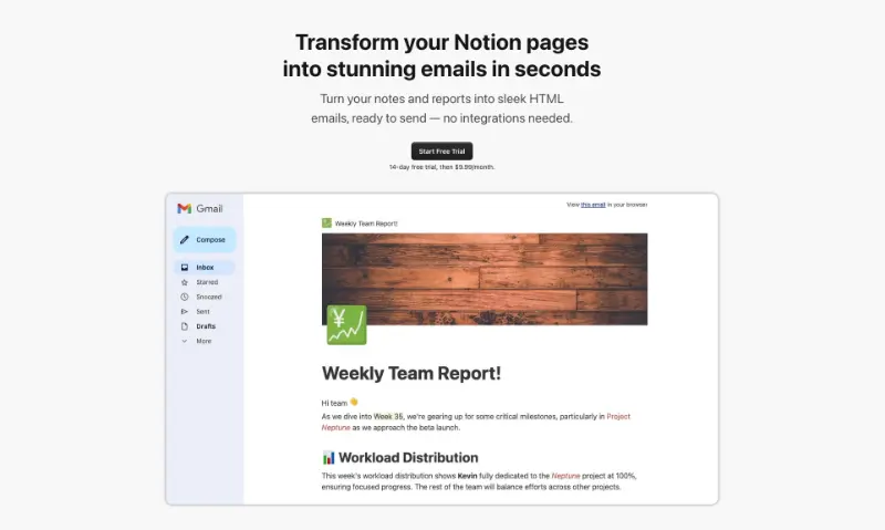Notion To Email product image