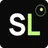 Logo of Staffing Leads