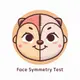 Logo of Face Symmetry Test