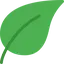 Logo of AnkiDecks