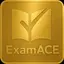 Logo of ExamACE