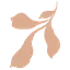 Logo of PATTERNISSE